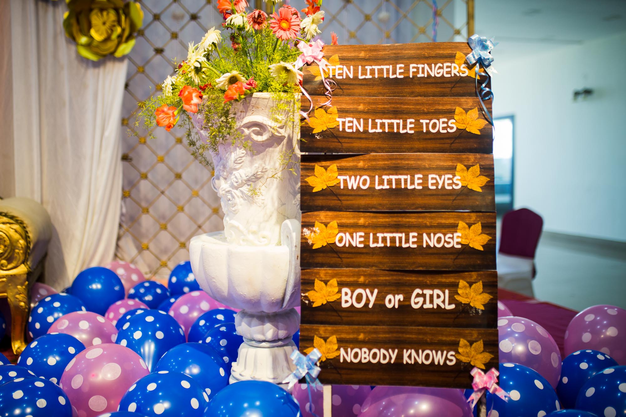 Jigyasa Baby Shower — photo 2